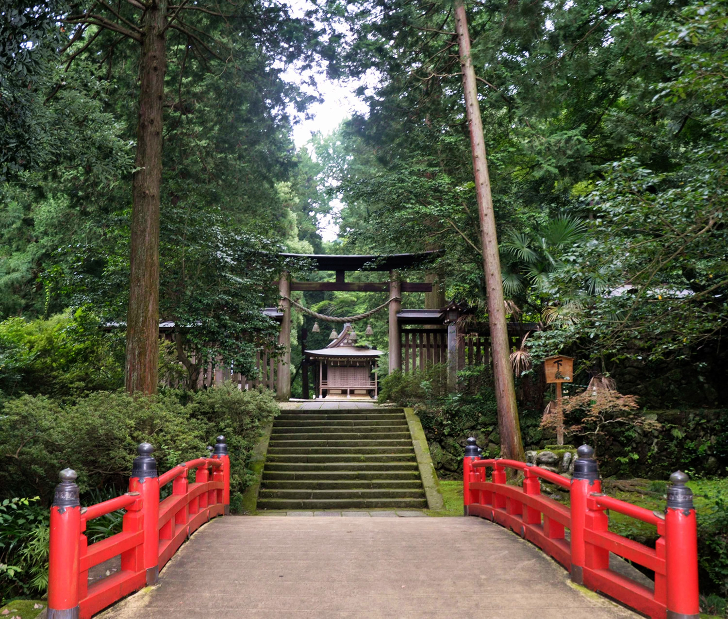 鎮守の森 埼玉県の神社 鎮守の森 埼玉県の神社